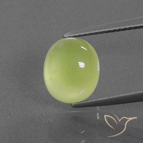 4.59ct Naturel Jaune clair Préhnite, ovale, Transparent / Translucide