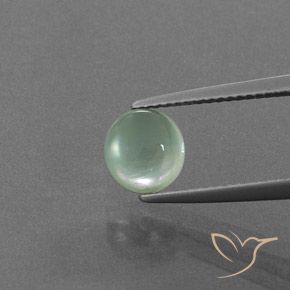 1.73ct Naturel Menthe verte Préhnite, Tour, Transparent
