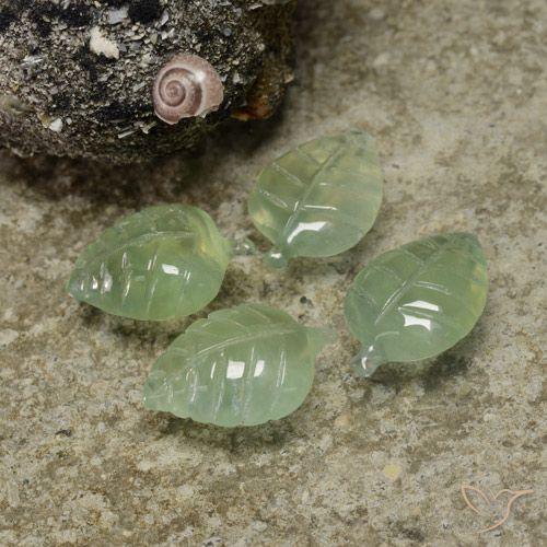 17.67ctw Naturel Vert lime pâle Préhnite, Taille Fleur, Transparent