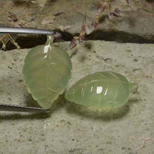 14.13ctw Naturel Vert poire pâle Préhnite, Taille Fleur, Translucide