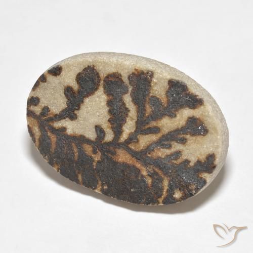 Dendrite de psilomélane Multicolore naturelle ovale, 26.52 ct, Opaque