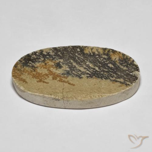 Dendrite de psilomélane Multicolore naturelle ovale, 49.70 ct, Opaque
