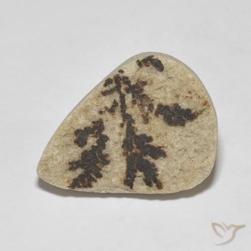 11.56ct Naturel Multicolore Dendrite de psilomélane, En forme de poire, Opaque