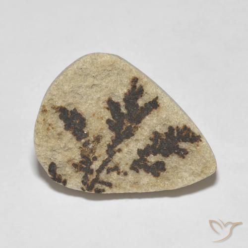 Dendrite de psilomélane Multicolore naturelle En forme de poire, 11.56 ct, Opaque