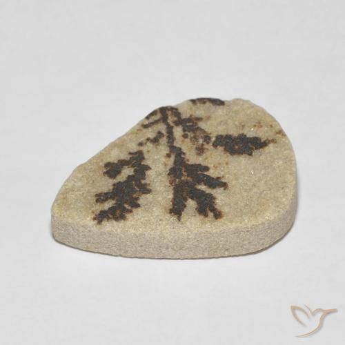 Dendrite de psilomélane Multicolore naturelle En forme de poire, 11.56 ct, Opaque