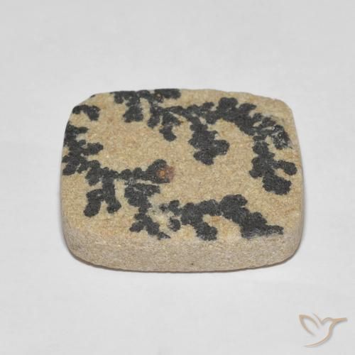 Dendrite de psilomélane Multicolore naturelle Coussin, 25.75 ct, Opaque