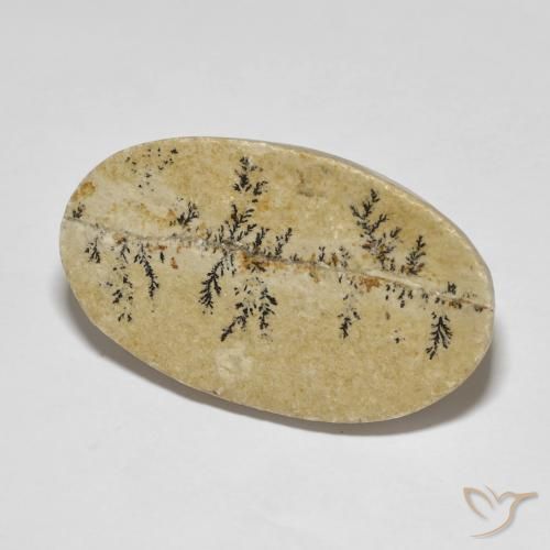 Dendrite de psilomélane Multicolore naturelle ovale, 33.47 ct, Opaque
