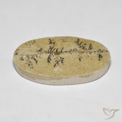 Dendrite de psilomélane Multicolore naturelle ovale, 33.47 ct, Opaque
