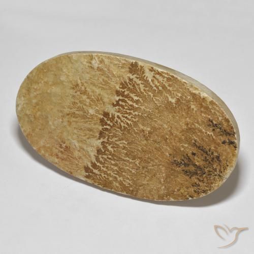 Dendrite de psilomélane Multicolore naturelle ovale, 114.72 ct, Opaque