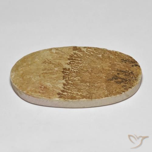 Dendrite de psilomélane Multicolore naturelle ovale, 114.72 ct, Opaque