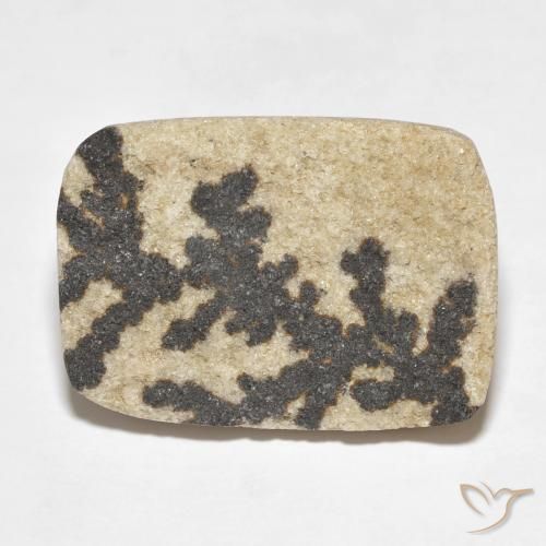 18.24ct Naturel Multicolore Dendrite de psilomélane, Coussin, Opaque