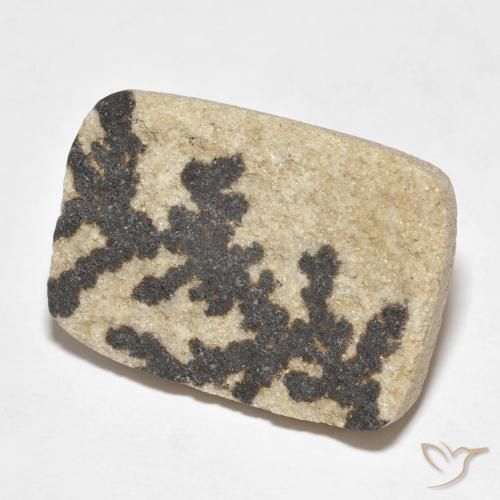 Dendrite de psilomélane Multicolore naturelle Coussin, 18.24 ct, Opaque