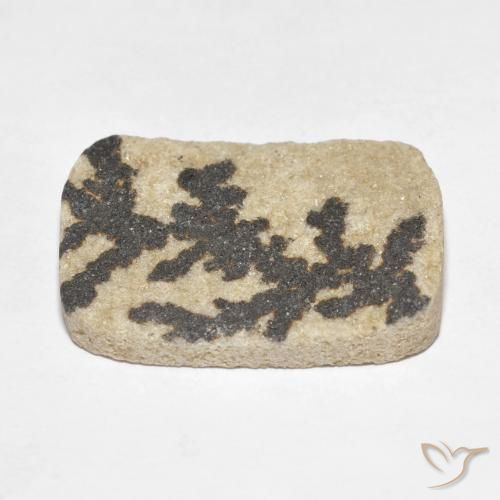 Dendrite de psilomélane Multicolore naturelle Coussin, 18.24 ct, Opaque
