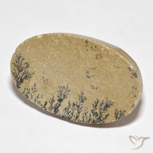Dendrite de psilomélane Multicolore naturelle ovale, 52.94 ct, Opaque