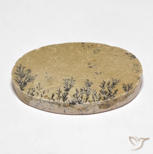 Dendrite de psilomélane Multicolore naturelle ovale, 52.94 ct, Opaque