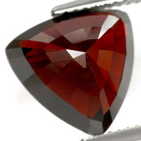 Grenat pyrope rouge naturelle trillion, 8,18 ct, IF
