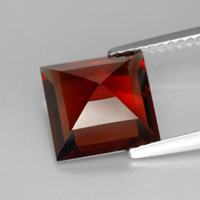 Grenat pyrope rouge naturelle carré, 3,71 ct, VVS