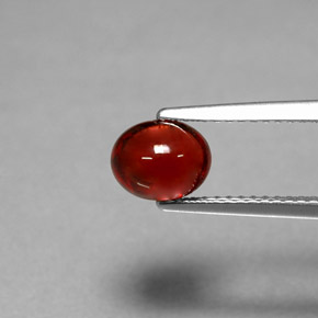 Grenat pyrope Rouge naturelle Coupe ovale, 1.70 ct, Translucide