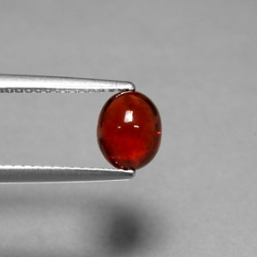 Grenat pyrope Rouge naturelle Coupe ovale, 1.70 ct, Translucide