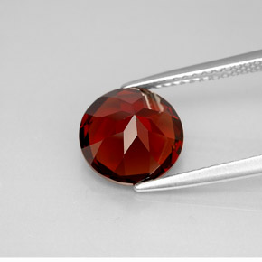 Grenat pyrope rouge naturelle coupe roude, 3,48 ct, VS