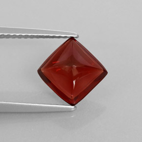 Grenat pyrope rouge naturelle transparent, 2,43 ct, transparent / translucide