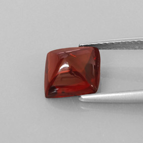 Grenat pyrope rouge naturelle transparent, 2,43 ct, transparent / translucide