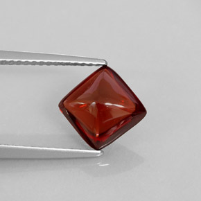 Grenat pyrope rouge naturelle transparent, 2,41 ct, transparent / translucide
