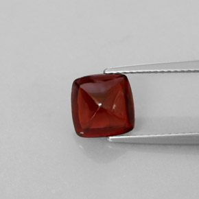 Grenat pyrope rouge naturelle transparent, 2,70 ct, transparent / translucide