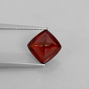 Grenat pyrope rouge naturelle transparent, 2,70 ct, transparent / translucide