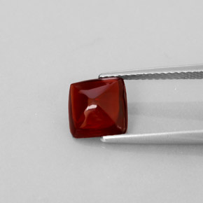 Grenat pyrope rouge naturelle transparent, 2,13 ct, transparent / translucide