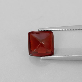 Grenat pyrope rouge naturelle transparent, 2,94 ct, transparent / translucide