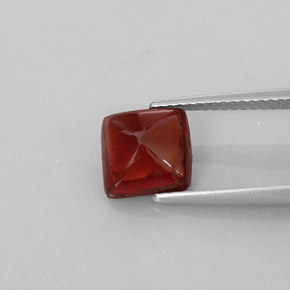 Grenat pyrope rouge naturelle transparent, 2,94 ct, transparent / translucide