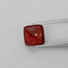 Grenat pyrope rouge naturelle transparent, 2,63 ct, transparent / translucide