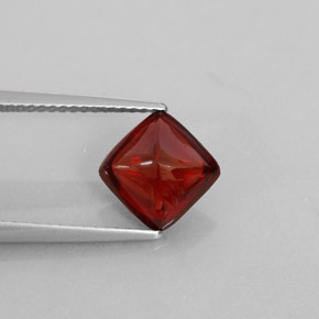 Grenat pyrope rouge naturelle transparent, 2,63 ct, transparent / translucide