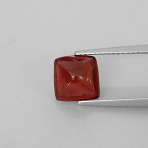 Grenat pyrope rouge naturelle transparent, 2,58 ct, transparent / translucide