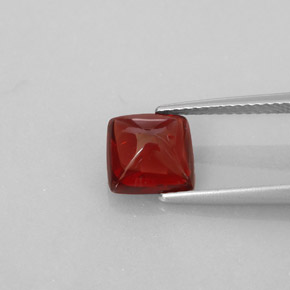 Grenat pyrope rouge naturelle transparent, 2,58 ct, transparent / translucide
