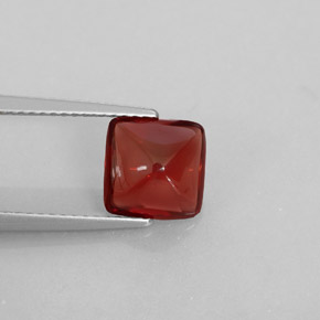 Grenat pyrope rouge naturelle transparent, 2,28 ct, transparent / translucide