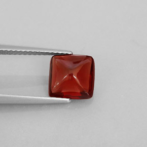 Grenat pyrope rouge naturelle transparent, 2,28 ct, transparent / translucide