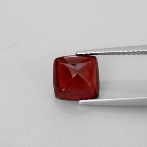 Grenat pyrope rouge naturelle transparent, 2,98 ct, transparent / translucide