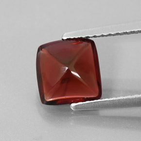 Grenat pyrope rouge naturelle transparent, 1,95 ct, transparent / translucide