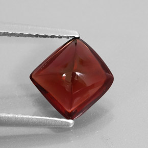 Grenat pyrope rouge naturelle transparent, 1,95 ct, transparent / translucide