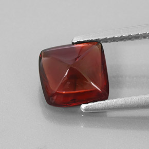 Grenat pyrope rouge naturelle transparent, 1,95 ct, transparent / translucide