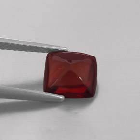 Grenat pyrope rouge naturelle transparent, 2,05 ct, transparent / translucide