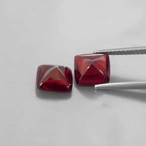Achetez naturel ct rouge grenat pyrope gems, transparent, en provenance mozambique chez gemselect. en stock, livraison internationale!