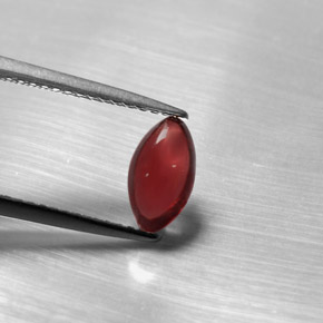 Grenat pyrope rouge naturelle transparent, 1,20 ct, transparent / translucide