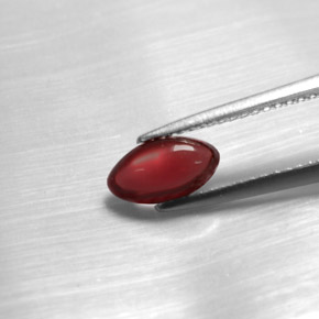 Grenat pyrope rouge naturelle transparent, 1,20 ct, transparent / translucide
