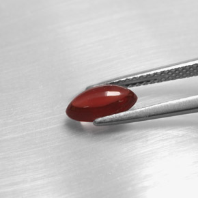 Grenat pyrope rouge naturelle transparent, 1,20 ct, transparent / translucide