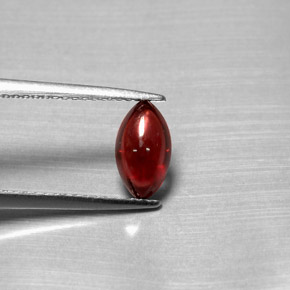 Grenat pyrope rouge naturelle transparent, 1,39 ct, transparent / translucide
