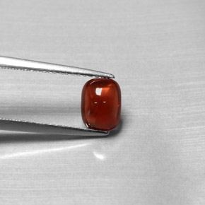 Grenat pyrope rouge naturelle transparent, 1,47 ct, transparent / translucide