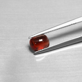 Grenat pyrope rouge naturelle transparent, 1,47 ct, transparent / translucide